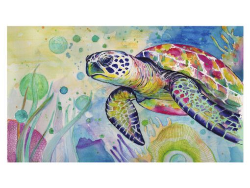 Aquarelpotlood Faber-Castell Albrecht Durer & Pitt Artist   Pen 46-delig