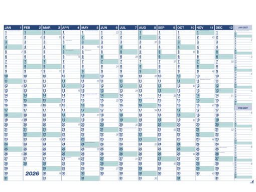 Muurplanner Kangaro 2026 NL/FR uitwisbaar 70x100cm met      gratis marker en wisser