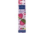 Sketchmarker Faber-Castell Goldfaber etui 4 stuks Bold Easy I World of Fruit