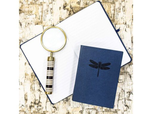 Notitieboek Èccolo Essential Blue Dragonfly lijn ca.13x18cm 80gr. 256pag.