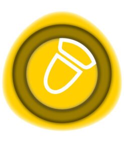 doe-het-zelfprojecten en upcycling. Deze marker is perfect geschikt voor gebruik op alle soorten papier