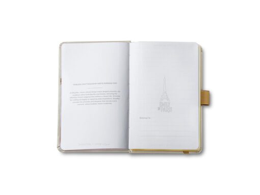 Balpen Giftset Sheaffer EMILY IN PARIS 100 9377 Champagne   gold champagne gold trims met notitieboek