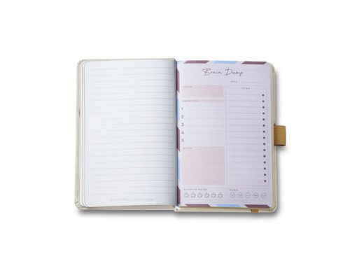 Balpen Giftset Sheaffer EMILY IN PARIS 100 9377 Champagne   gold champagne gold trims met notitieboek