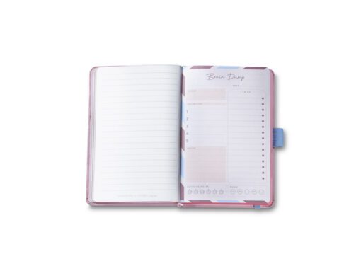 Balpen Giftset Sheaffer EMILY IN PARIS 321 Sentinel Matte   Pink Chrome trims met notitieboek