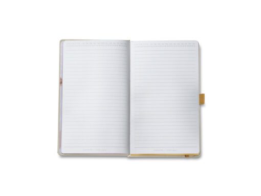 Notitieboek Sheaffer medium EMILY IN PARIS 90gr Embossed    Eiffel Tower Beige