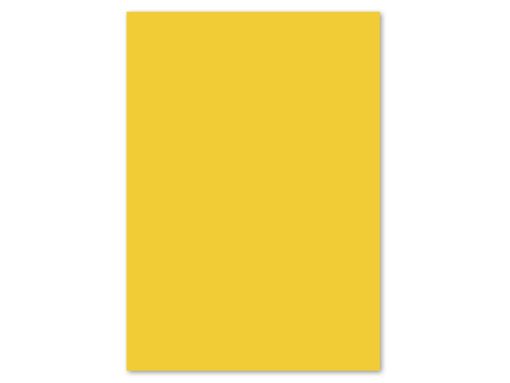 Papier Kangaro A4 80grs goudgeel pak 100 vel
