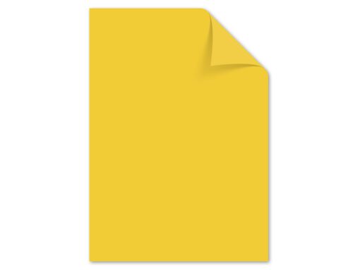 Papier Kangaro A4 80grs goudgeel pak 100 vel
