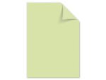 Papier Kangaro A4 80grs lichtgroen pak 100 vel