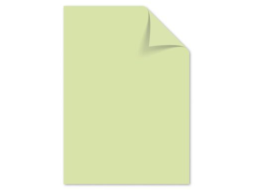 Papier Kangaro A4 80grs lichtgroen pak 100 vel