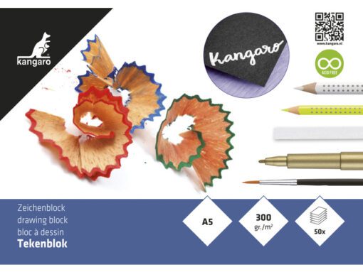 Workshoppakket IJsvogel Schneider inclusief toebehoren NL