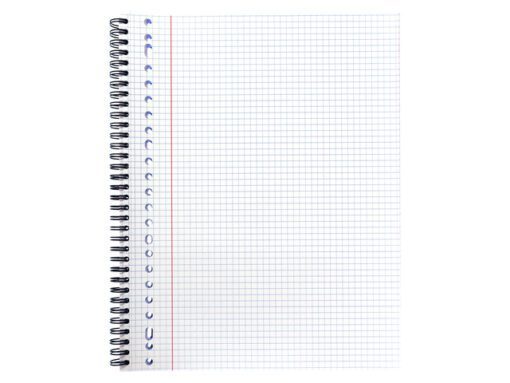 Collegeblok Multo A4 23r ruit 5mm 90 grams 80 vel