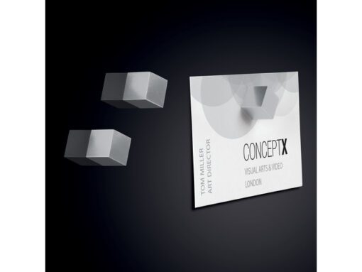 Magneten Sigel voor glasbord set 5stuks zilverkleurig C5    sterk 11x11x11mm