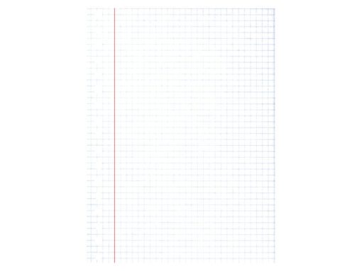 Ringbandinterieur Multo A5 17r ruit 5mm 90 grams 50 vel