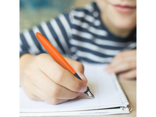 Vulpen Schneider Wavy groen in kartonetui