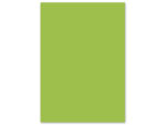 Papier Kangaro A4 80grs helgroen pak 100 vel