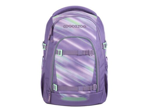 Rugzak Coocazoo MATE Arctic Lights