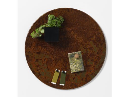 Magneetbord Naga rond 35cm    roest