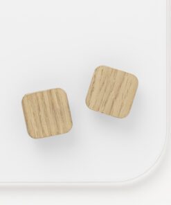 Magneten Naga 25x25mm vierkanteik set a 2st. super sterk