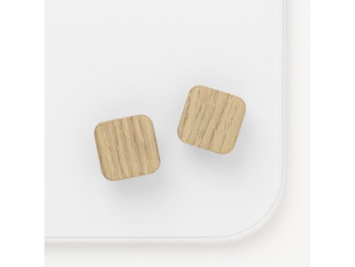 Magneten Naga 25x25mm vierkanteik set a 2st. super sterk