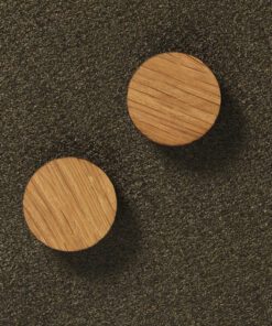 Magneten Naga rond 25mm set   2st teak super sterk