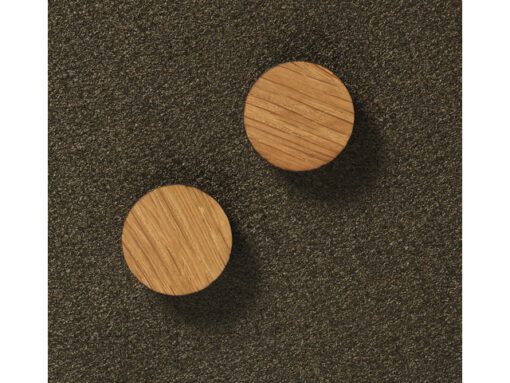 Magneten Naga rond 25mm set   2st teak super sterk