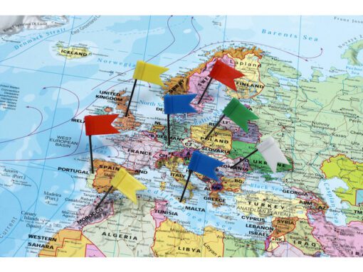 Markeervlaggetjes Naga doos 40st ass.