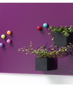 Opbergbox Naga zwart 6x6x6cm  magnetisch super sterk