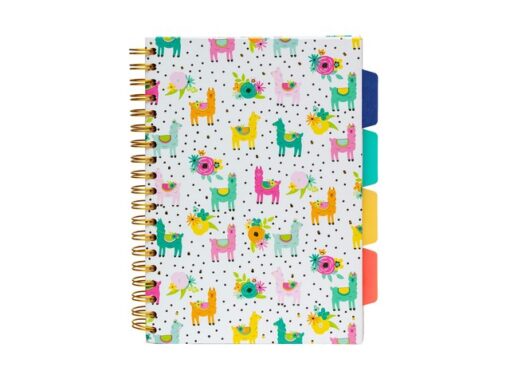 Projectboek Pukka Pad B5 lijn Colour Wash krimp a 3st. ass.