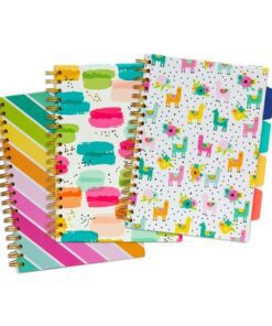 Projectboek Pukka Pad B5 lijn Colour Wash krimp a 3st. ass.