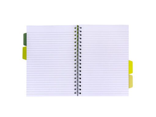 Projectboek Pukka Pad B5 lijn recycled groen