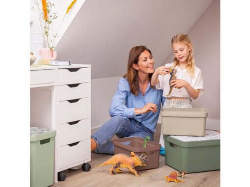 Sigma Home Box 9L Bruin25,2   17,5x12,2cm